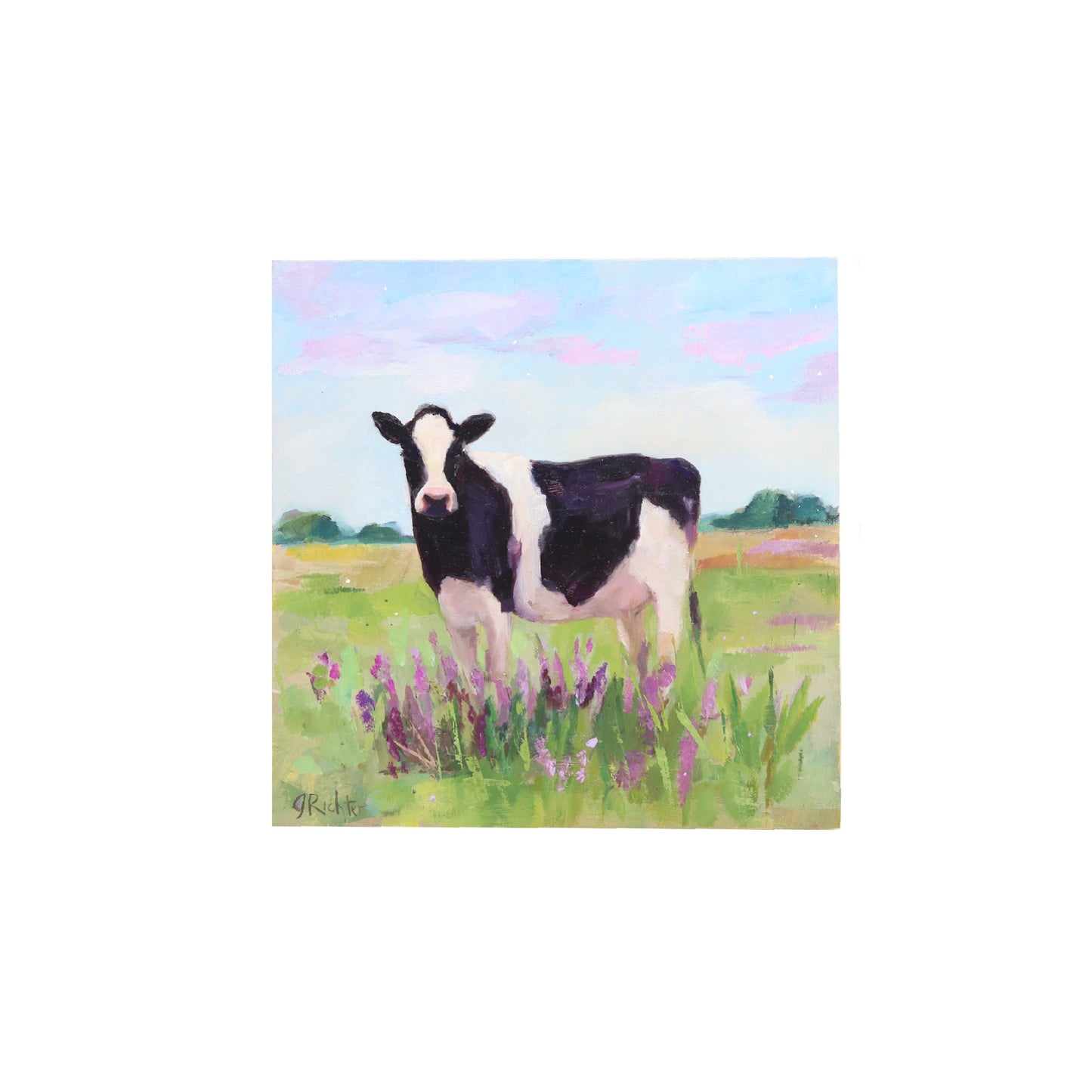 Holstein Cow and Lavender| Original Oil Painting | 6”x6”