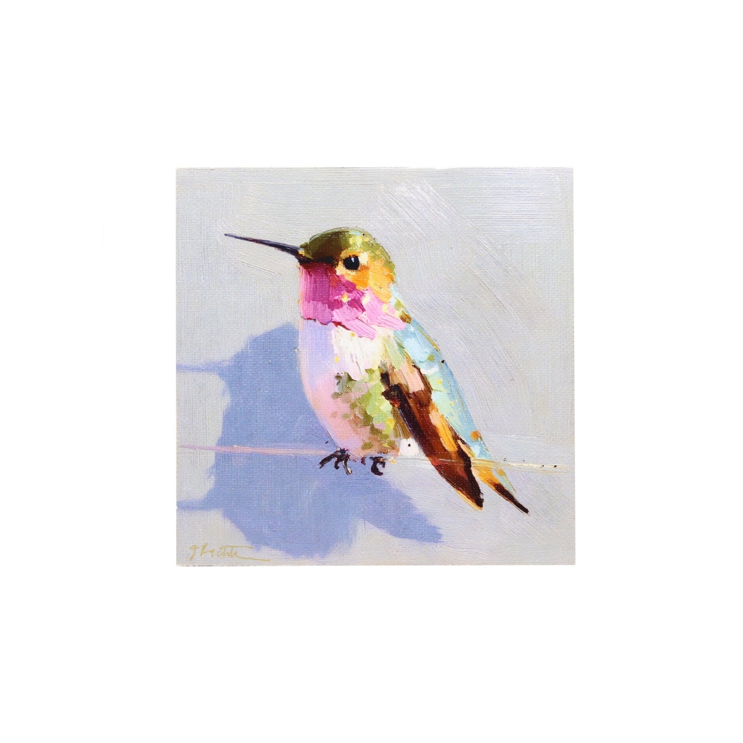 Colorful hummingbird illustration on a white background