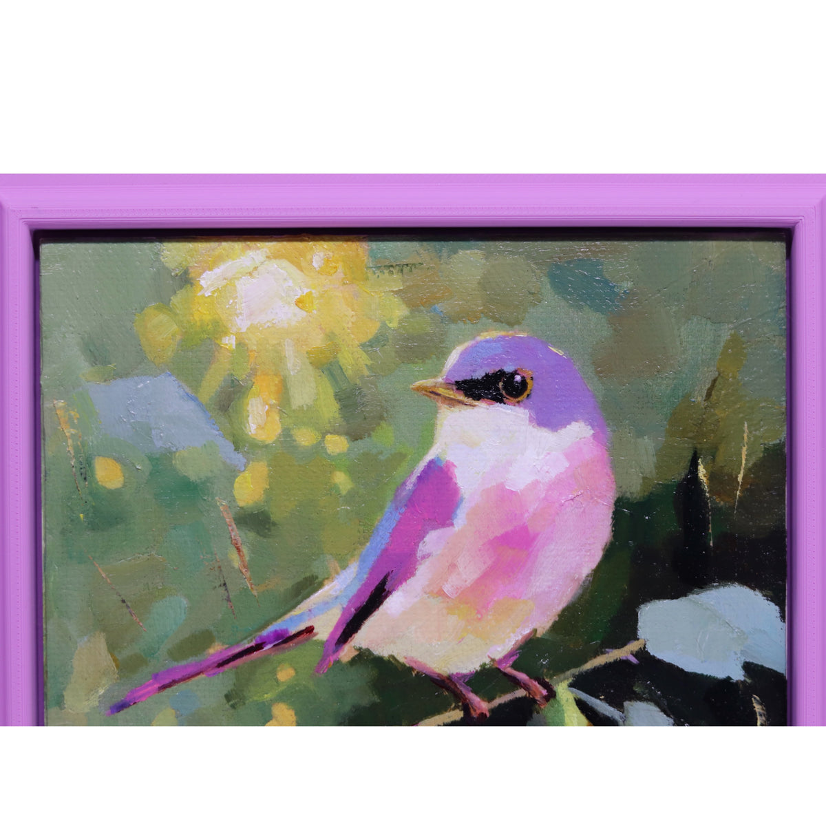Original Oil Painting | Bluebird in Tree 5| Framed 5”x5”