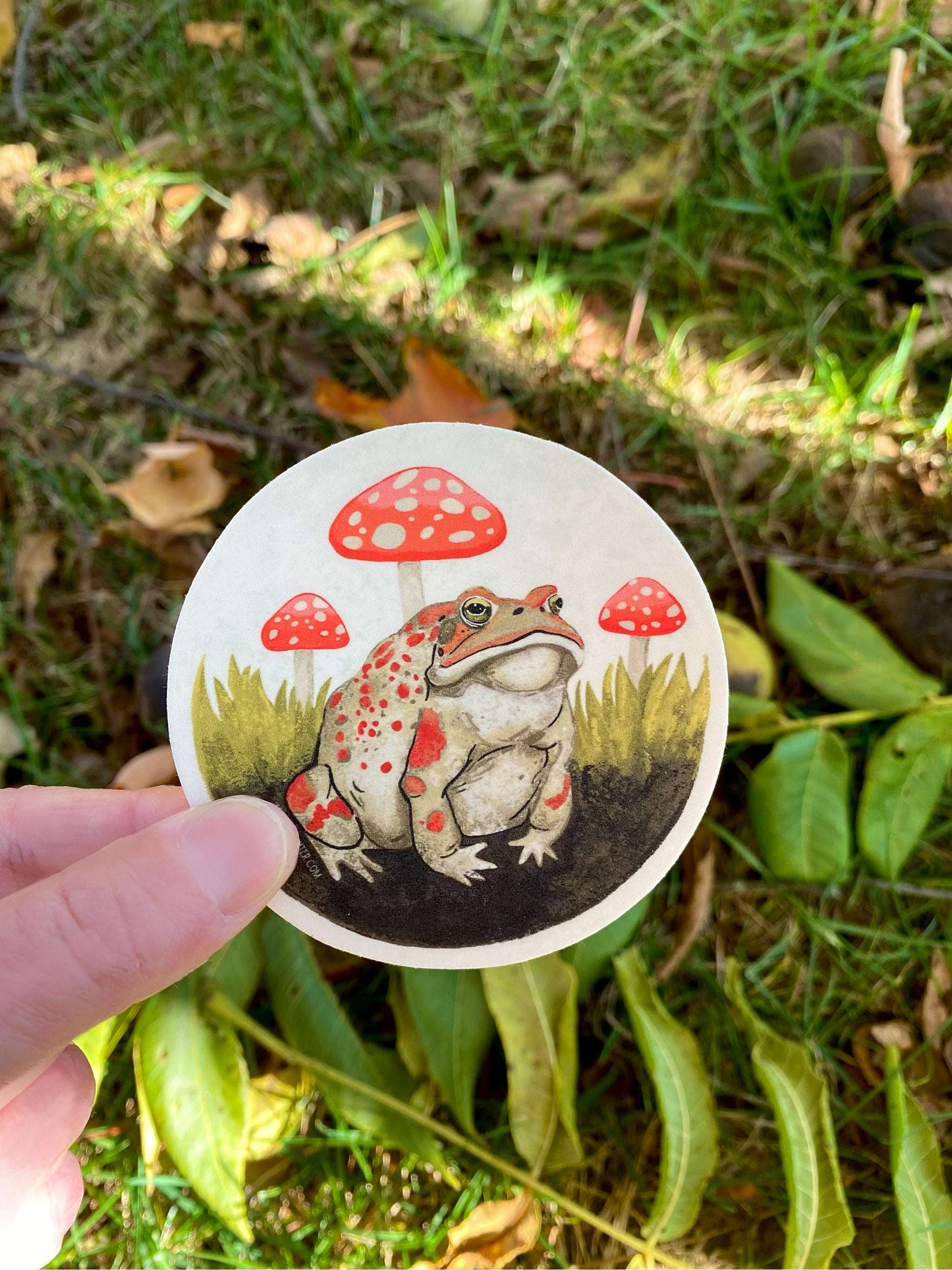 Toad and Mushrooms Sticker