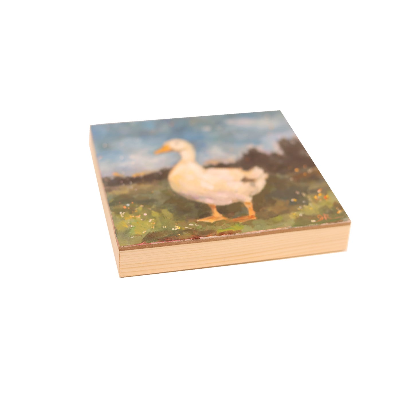 White Duck in Landscape | Original Oil Painting | 5"x 5” Peking Duck