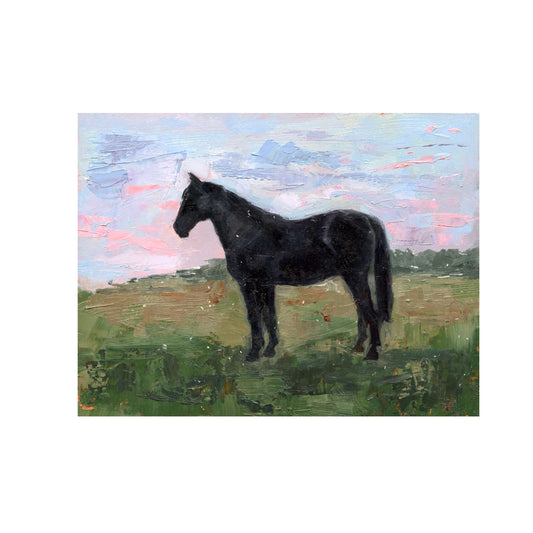 Black Horse in Pasture 15 | Original Oil Painting | 6”x8”