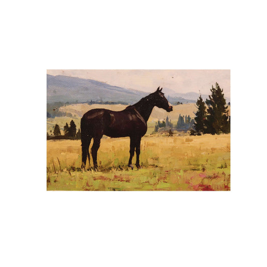 Print on Canvas | Black Horse in Landscape | 4”x6”