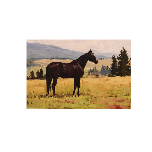 Print on Canvas | Black Horse in Landscape | 4”x6”
