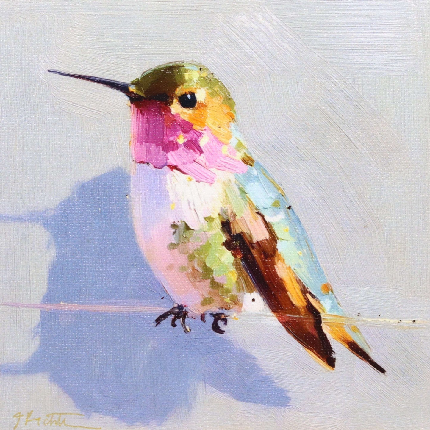 Colorful hummingbird painting on a textured white background