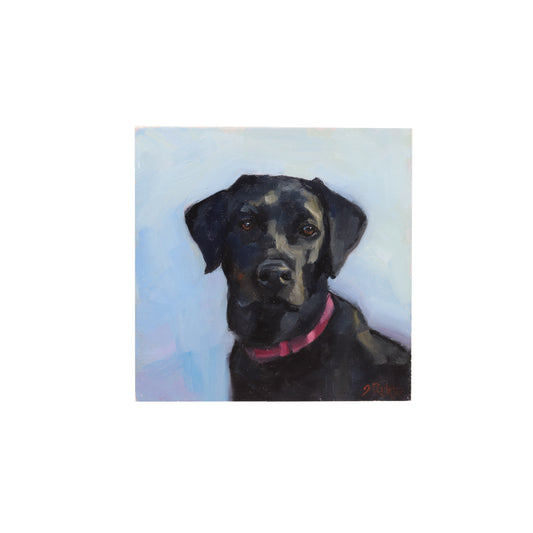 Black Labrador | Original Oil Painting | Miniature Art 4”x4”