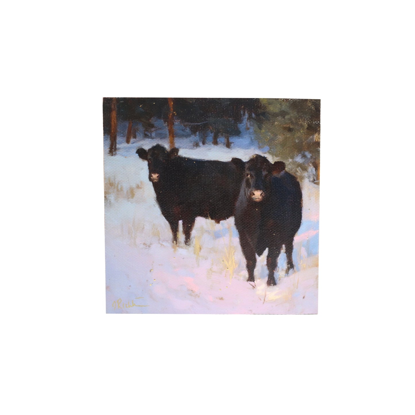 Print on Canvas | Hand Detailed | Black Cows | 5x5”