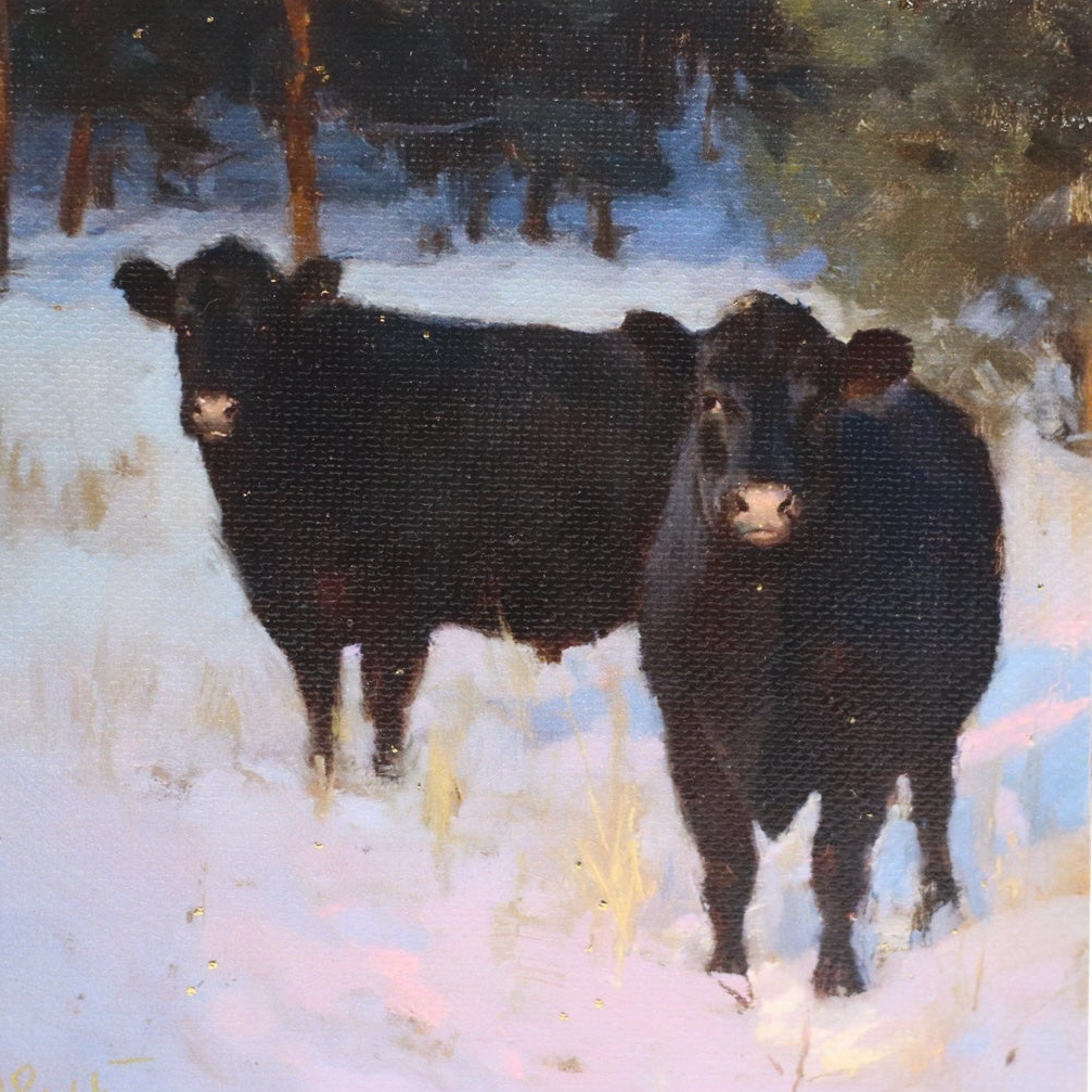 Print on Canvas |Black Cows| Hand Detailed | 5x5”