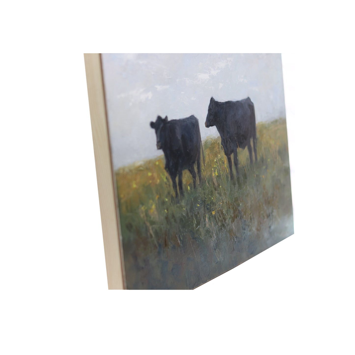 Black Angus Cows in Pasture  20 | Original Oil Painting | 11"x14"