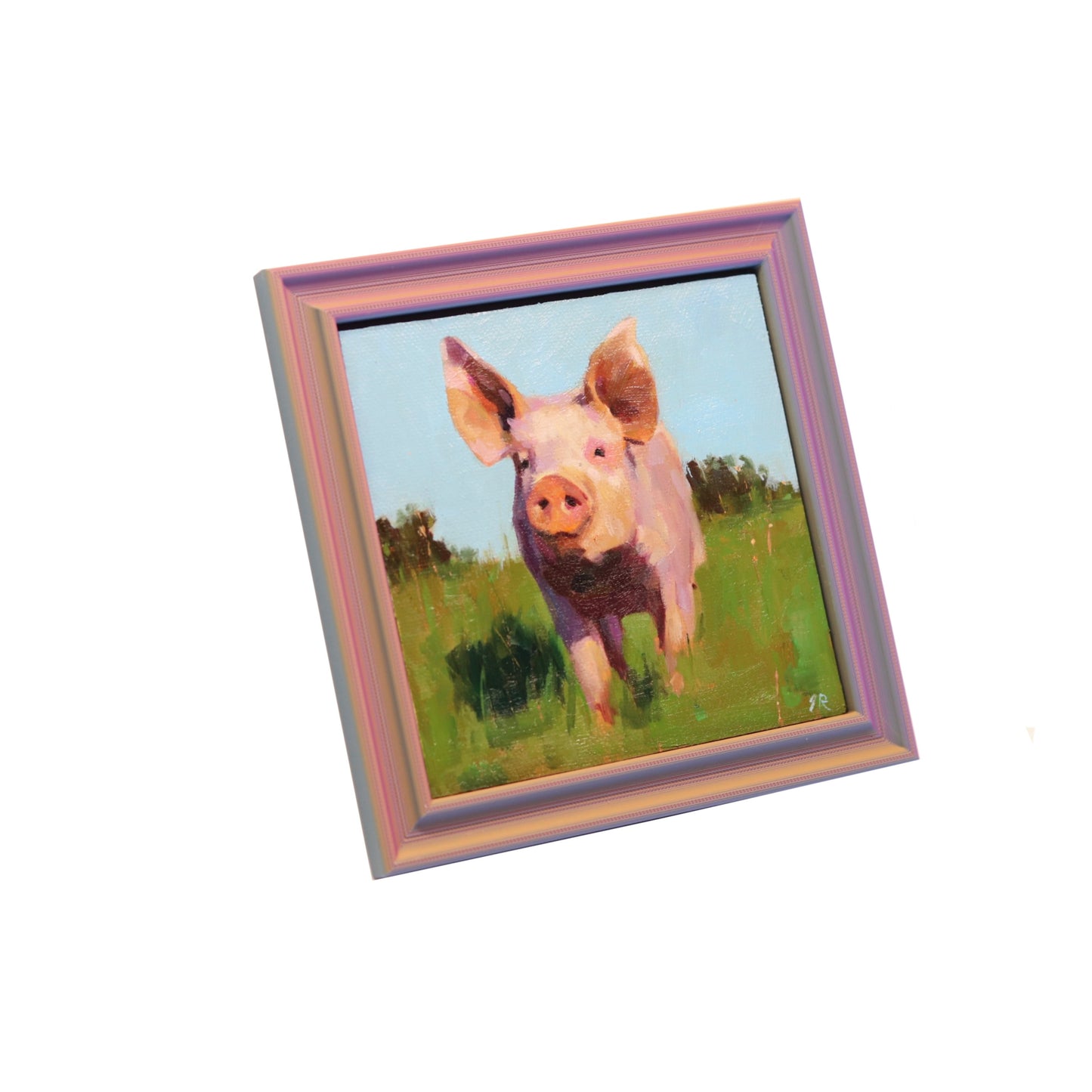 Original Oil Painting | Farm Pig 5| 5”x5” Framed Art