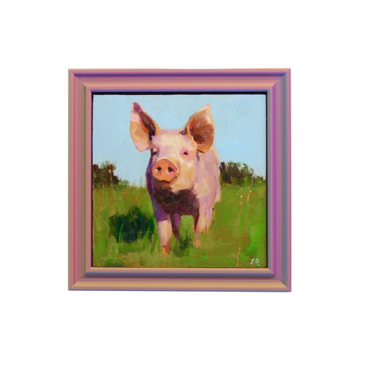 Original Oil Painting | Farm Pig 5| 5”x5” Framed Art