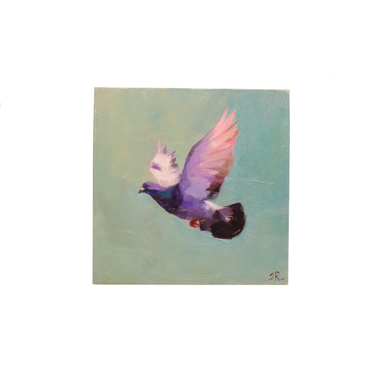 Pigeon in Flight | Original Oil Painting | Miniature Art 4”x4”