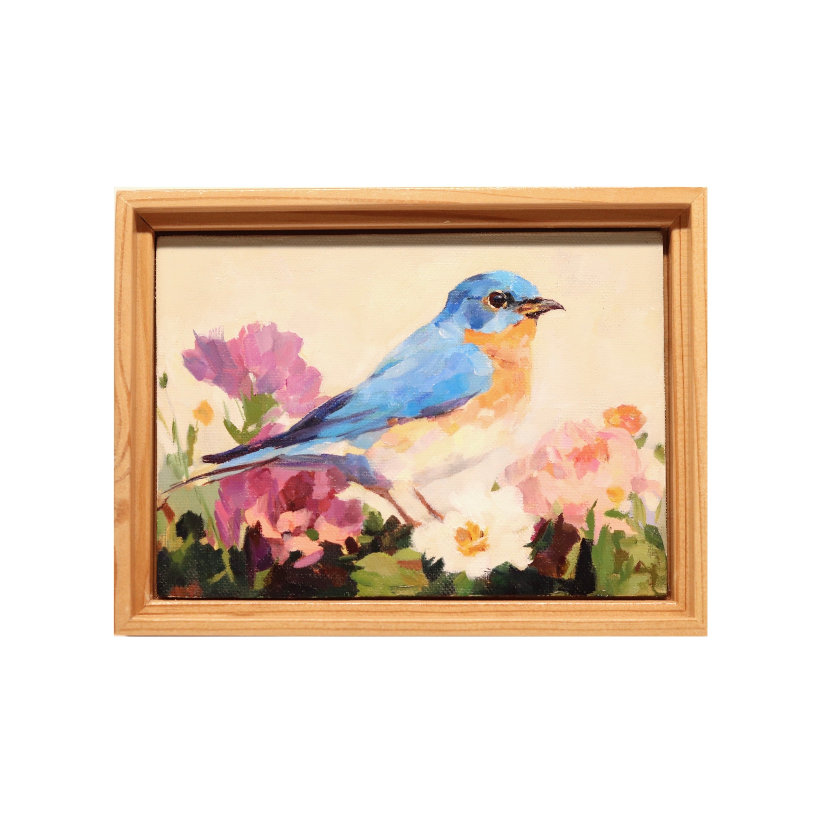 ★入手困難★aNueNue Bird L10　トップ シトカスプルース単板美品 Original Oil Painting | Eastern Bluebird 2 | Framed 5”x7
