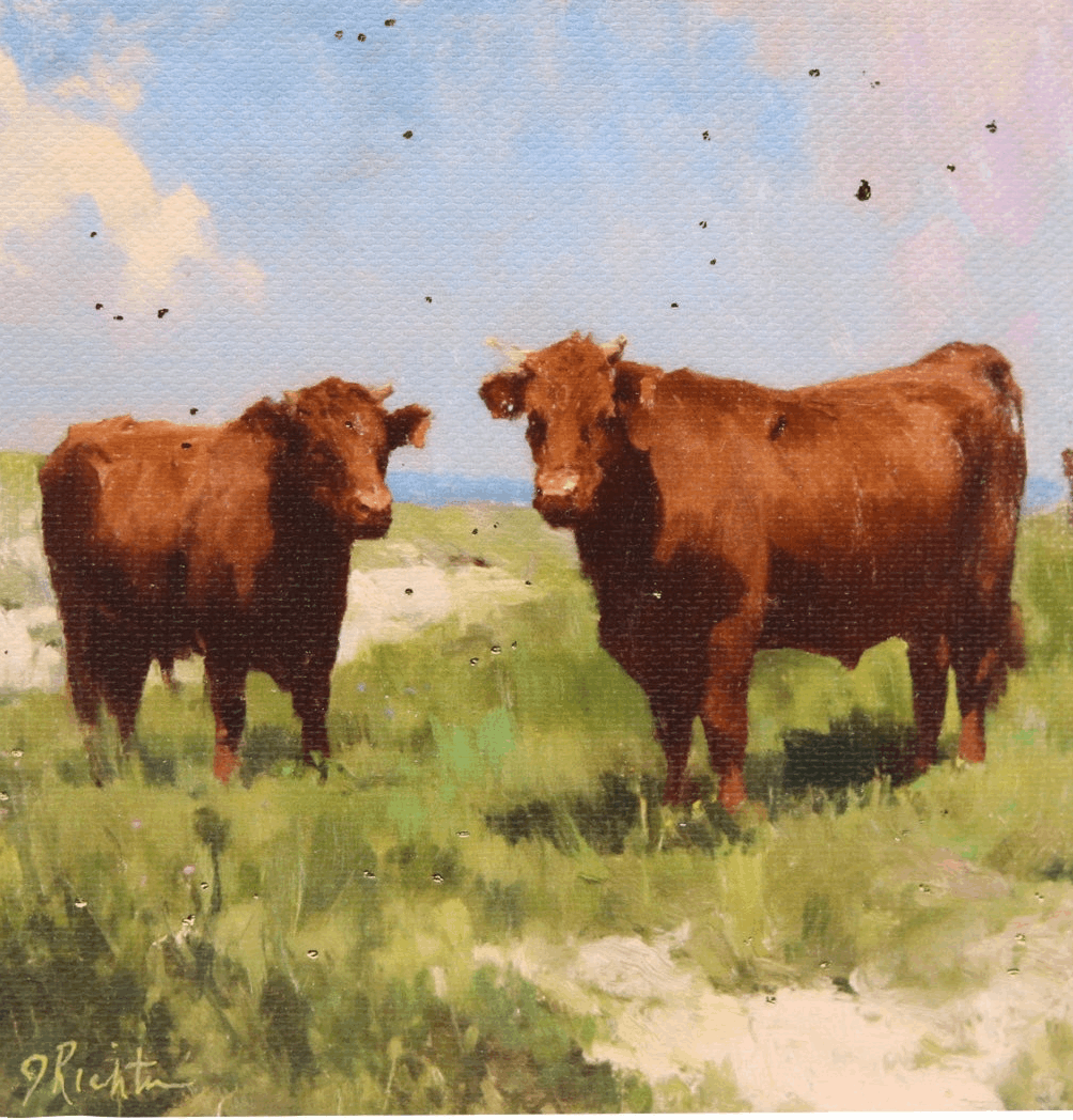 Two brown cows standing in a grassy field with a blue sky.