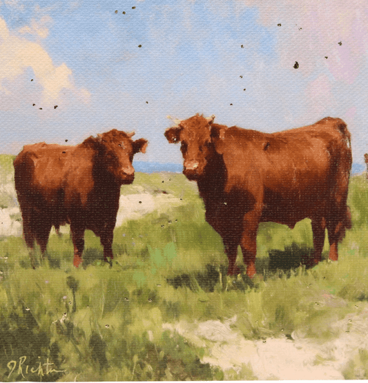 Two brown cows standing in a grassy field with a blue sky.