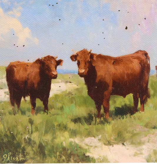 Two brown cows standing in a grassy field with a blue sky.