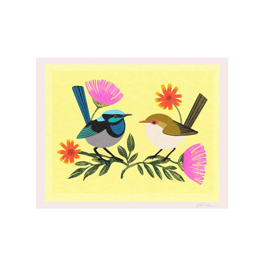 Fairy Wren Pair Illustration Print