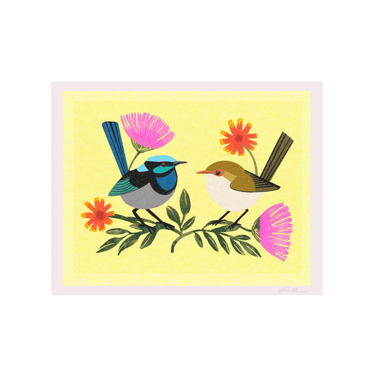 Fairy Wren Pair Illustration Print