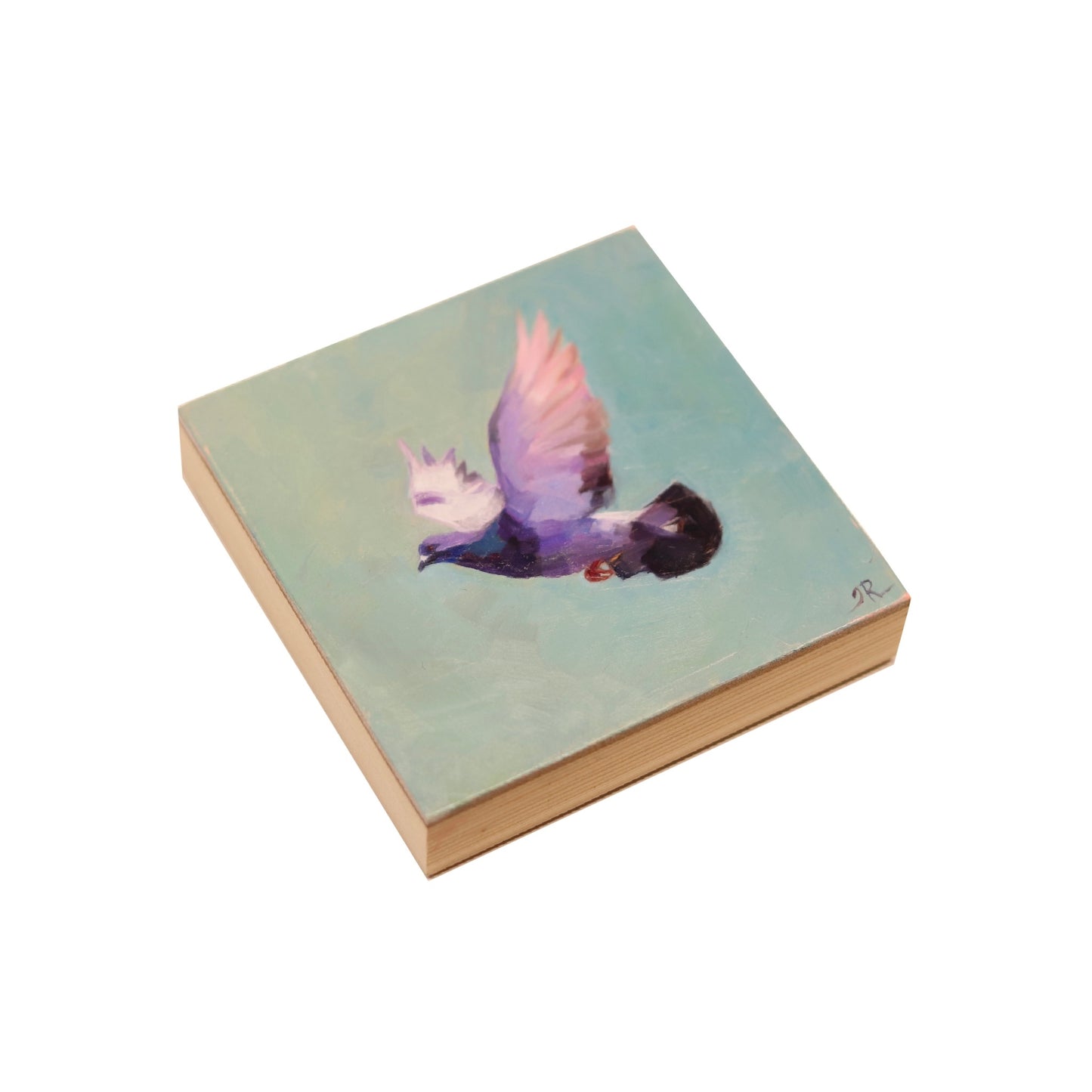 Pigeon in Flight | Original Oil Painting | Miniature Art 4”x4”