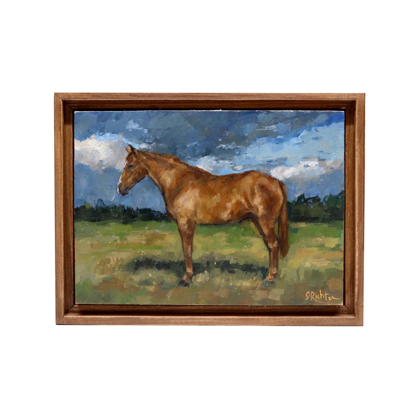 Horse Portrait 27 | Original Oil Painting | Custom Framed 5”x7”