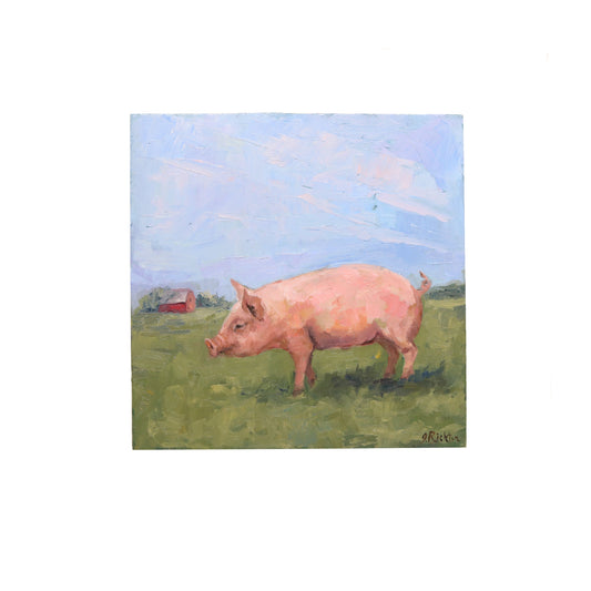 Farm Pig | Original Oil Painting | 6"x 6"