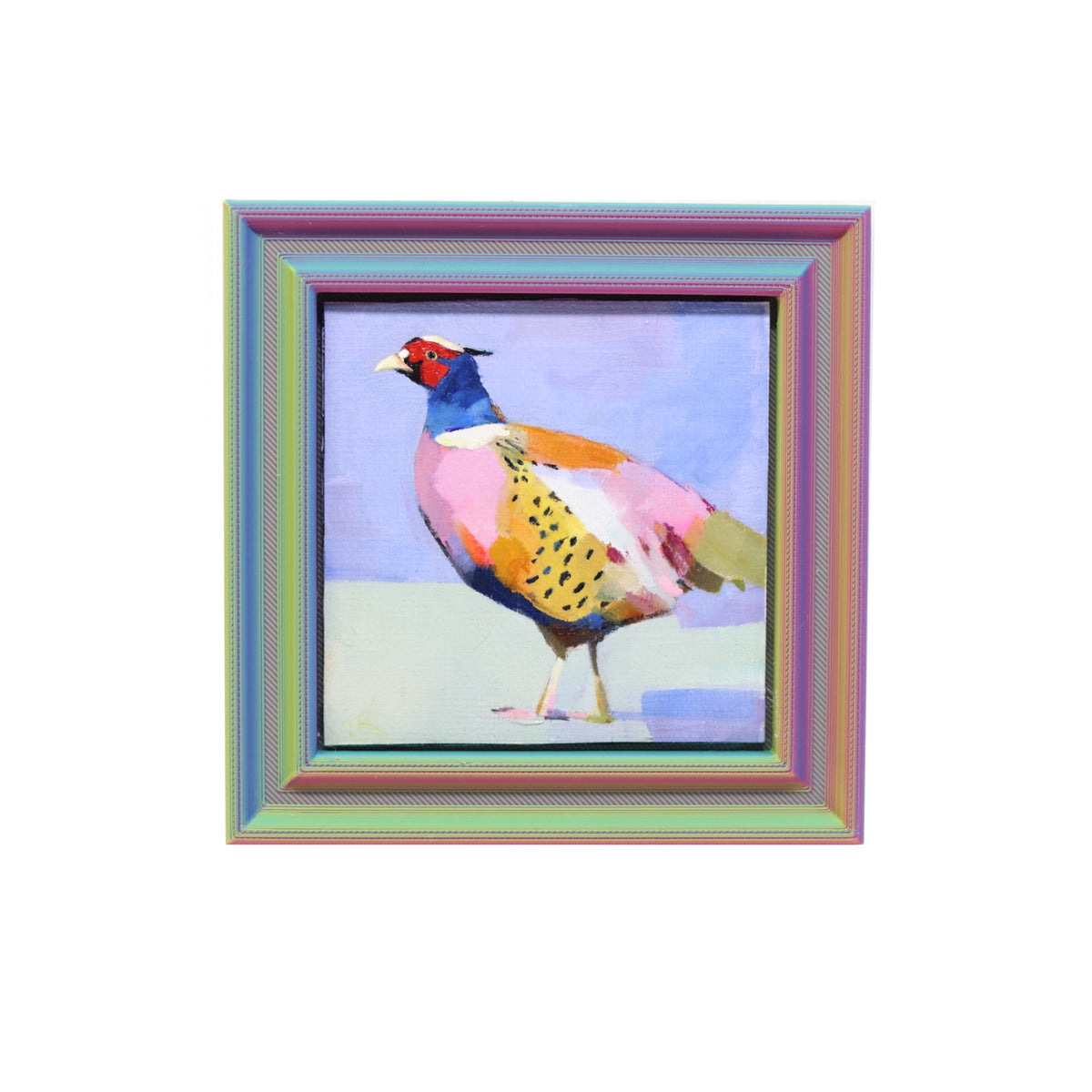 Ringneck Pheasant  | Miniature Oil Painting | 3”x3” Framed
