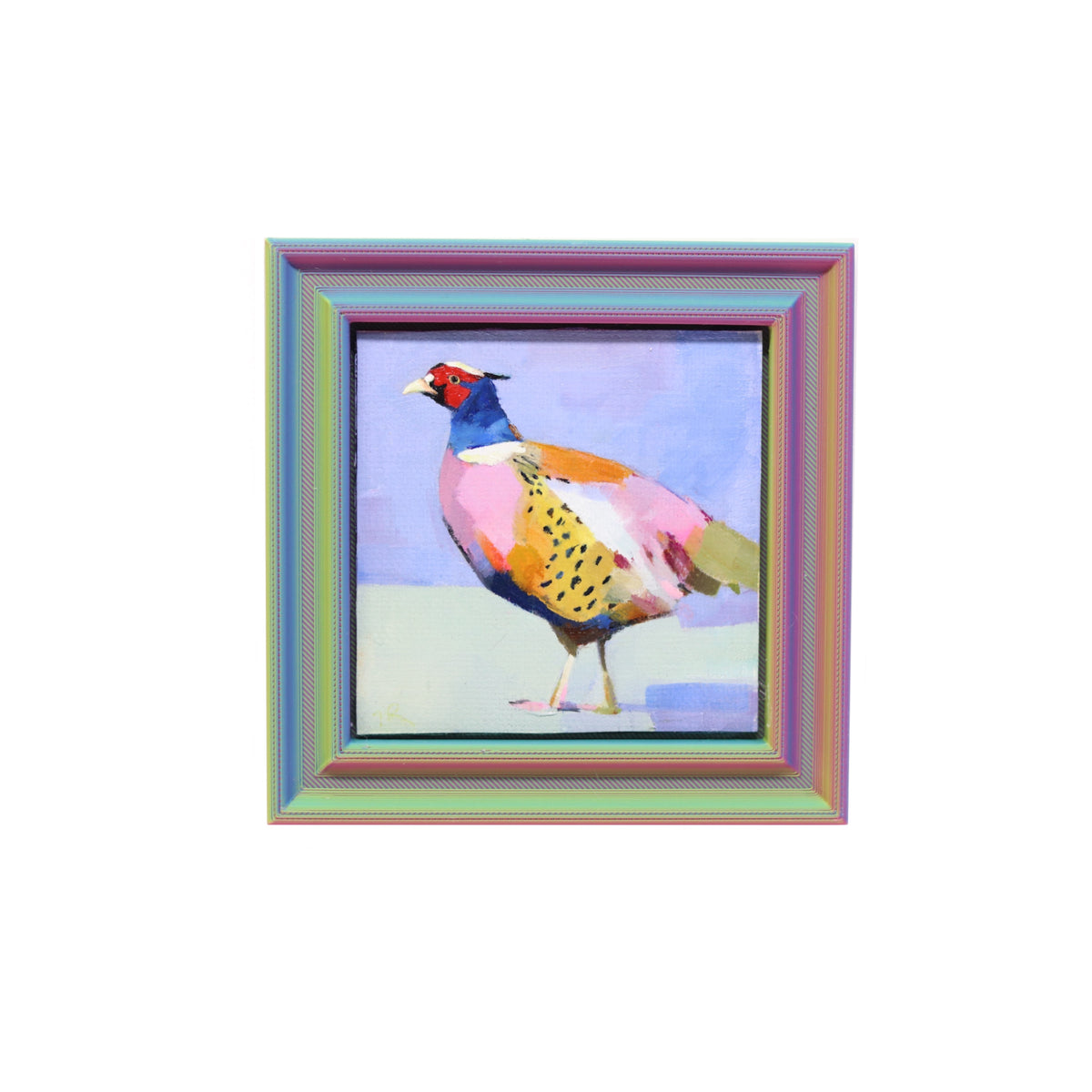 Ringneck Pheasant  | Miniature Oil Painting | 3”x3” Framed