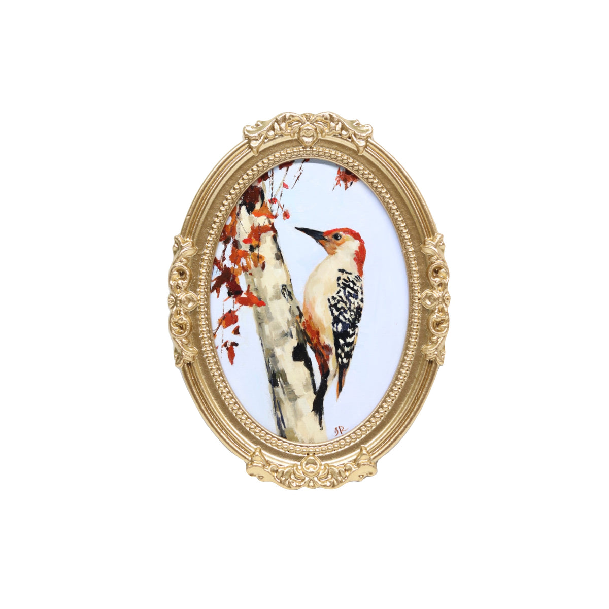 Red-Bellied Woodpecker  | Original Oil Painting | 5x7” Oval Frame