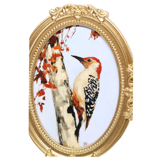 Red-Bellied Woodpecker  | Original Oil Painting | 5x7” Oval Frame