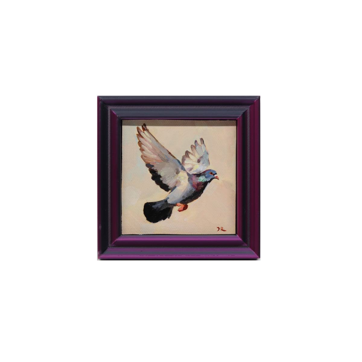 Pigeon in Flight 16 | Miniature Oil Painting | 3”x3” Framed
