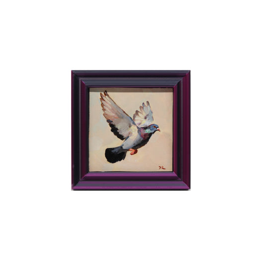Pigeon in Flight 16 | Miniature Oil Painting | 3”x3” Framed