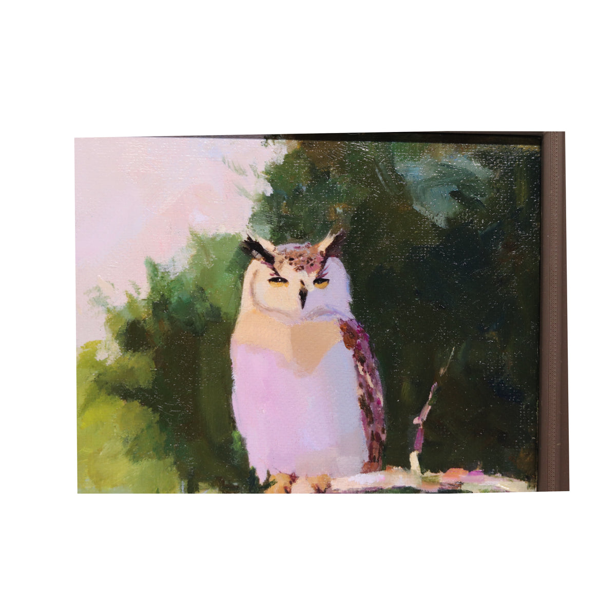 Original Oil Painting | Horned Owl on Branch 5 | 6”x6” Framed