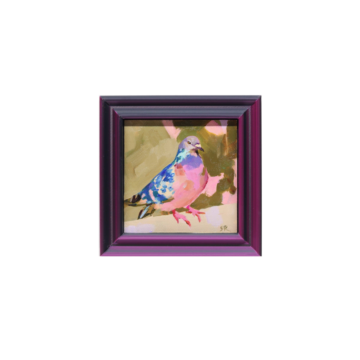 Perched Pigeon 17 | Miniature Oil Painting | 3”x3” Framed