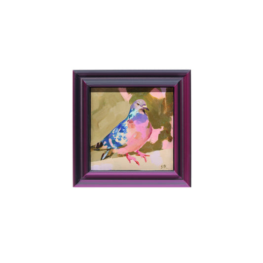 Perched Pigeon 17 | Miniature Oil Painting | 3”x3” Framed