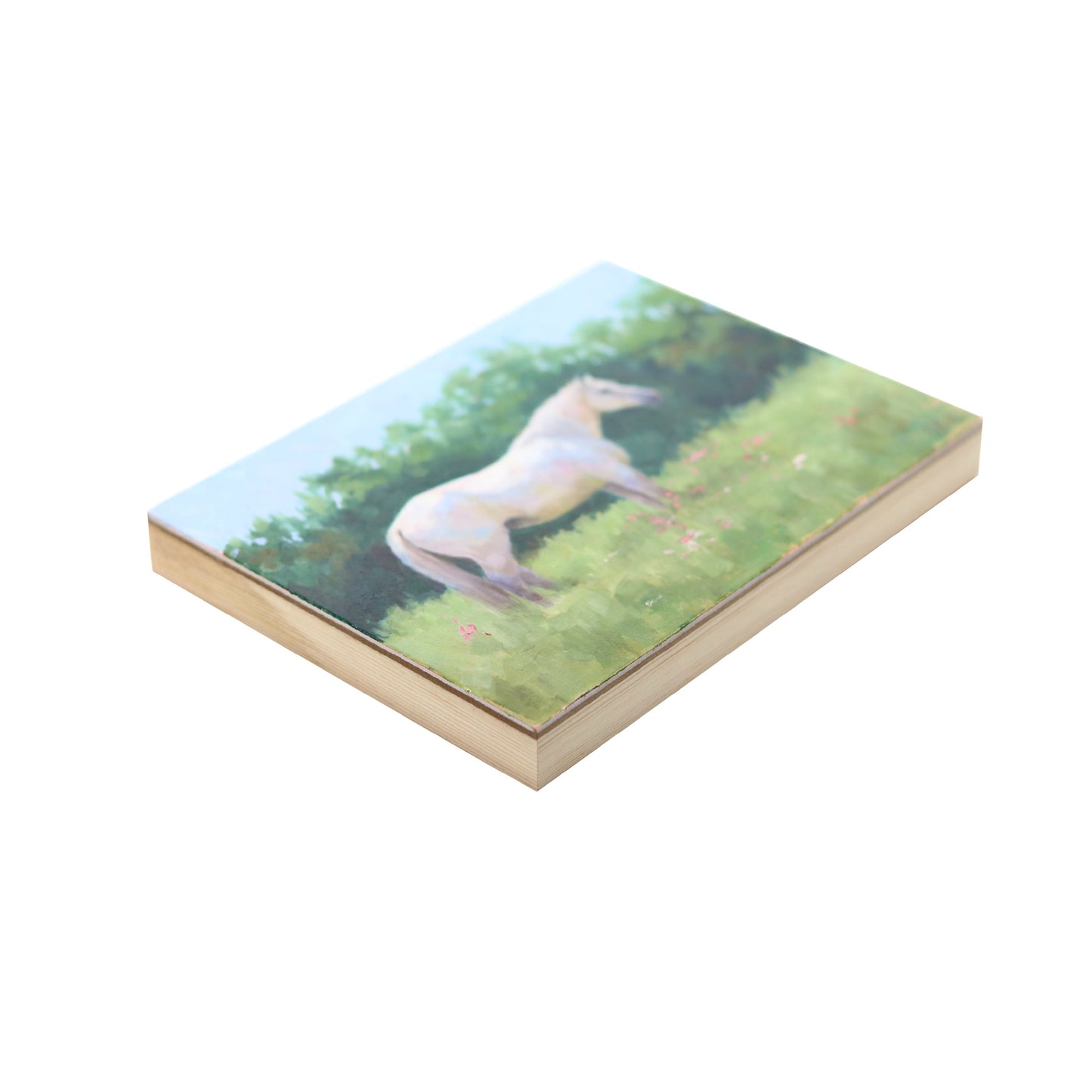 White Horse in Pasture 19 | Original Oil Painting | 6”x8”