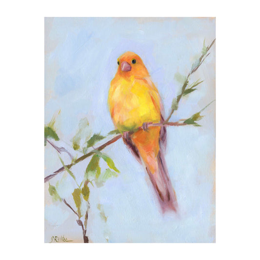 Yellow Canary on Branch | Original Oil Painting