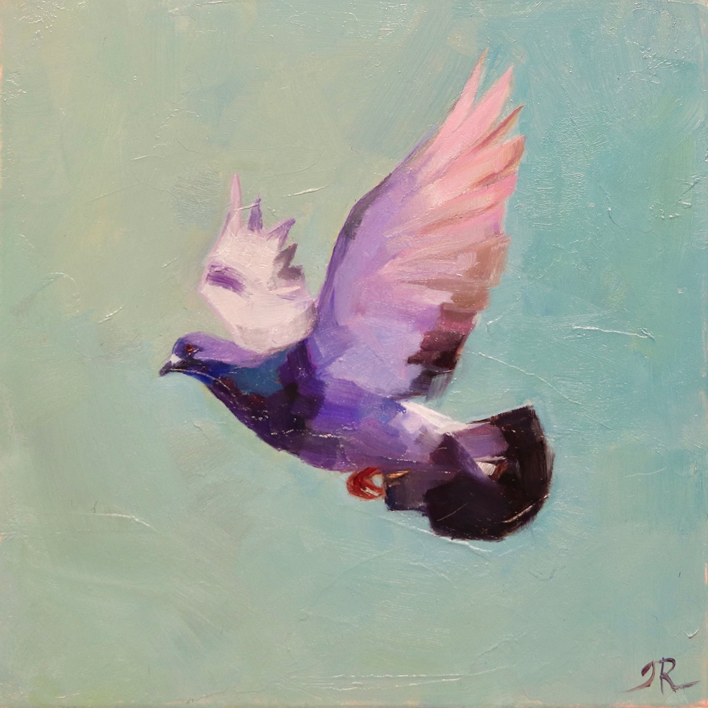 Pigeon in Flight | Original Oil Painting | Miniature Art 4”x4”
